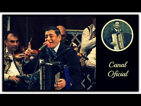 Ionel Tudorache - Festivalul Zavaidoc (2011)