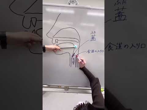 【愛知淑徳大学】「とろみ」についてご紹介！ vol.1 #愛知淑徳大学 #shorts #大学生 #言語聴覚学専攻  #言語聴覚士 #とろみ