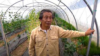 Thumbnail del capítulo