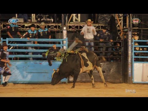Rodeio de Rinópolis 2018 - QUINTA FEIRA / MELHORES TOUROS
