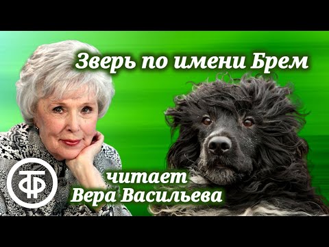 Вера Васильева читает рассказ "Зверь по имени Брем" Елены Катасоновой (1989)