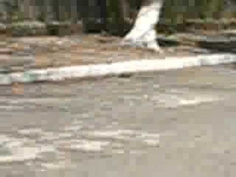 racha de rua !!!!!!!