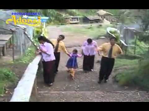 Amigo video