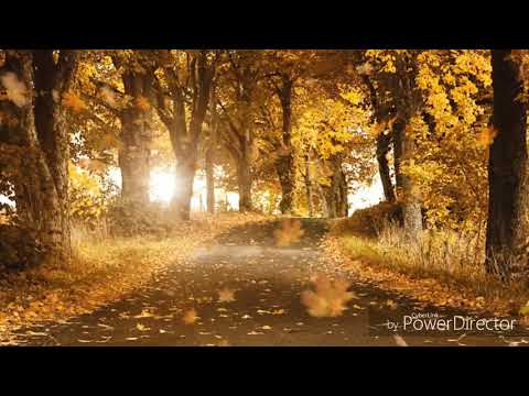 Iskušenja i sabur  [Ebu Muhammed]