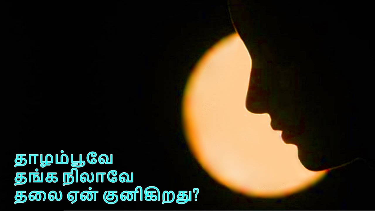 Thazhampoove Lyrics  | Ratha Thilagam | Savitri | L. R. Eswari | K.V. Mahadevan
