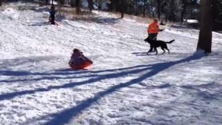 Sledding Fun!