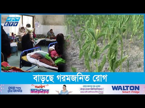 প্রচণ্ড তাপপ্রবাহে ক্ষতির মুখে ফসলের ক্ষেত