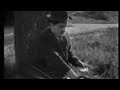 The Tramp 1915 Charlie Chaplin Full Movie