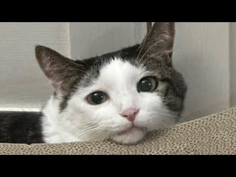 내가 할말이 지인짜 많았거든??