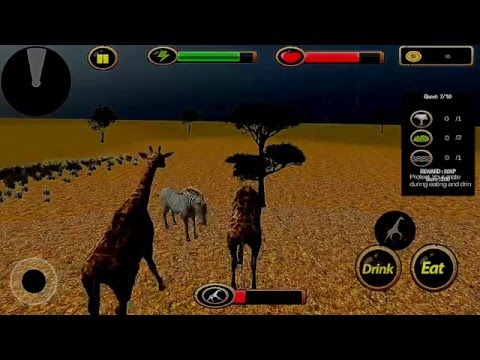 Clan of Giraffe 3D Video