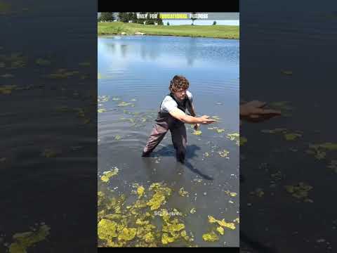 Golf Balls finding । #sgorts