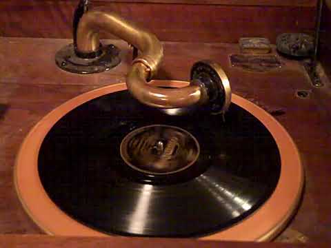 KNICKERBOCKERS BEN SELVIN VIVA TONAL - DOIN' THE RACCOON - ROARING 20'S VICTROLA 8-30