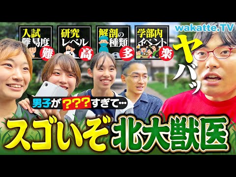 放射線技術学科 【医学部より難関!?】北大獣医学部の偏差値＆倍率がエグい！北海道ならではの豪快すぎる授業とは？【キャンパス調査】【wakatte TV】#1285