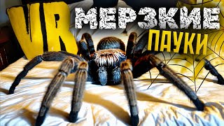 Меня ЗАКРЫЛИ в комнате с ПАУКАМИ ◉ Fear Simulator VR ◉ Прохождение vr игры - симулятор страхов