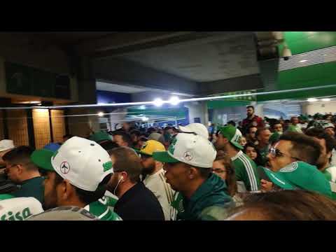 Sou Palmeiras A Mancha é guerreira. Dalhe Dalhe Porco E Dalhe Dalhe Porco...