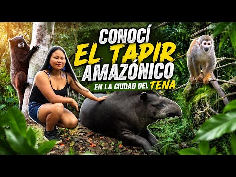 Parque la isla  lugares del Tena/napo 