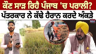 Sangrur News | ਕੌਣ ਸਾੜ ਰਿਹੈ Punjab 'ਚ ਪਰਾਲੀ ? ਪੱਤਰਕਾਰ ਨੇ ਕੱਢੇ ਹੈਰਾਨ ਕਰਦੇ ਅੰਕੜੇ | Stubble Burning |