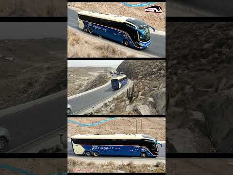 Expreso San Román | Premium | Marcopolo G8 Paradiso 1050 | T5 EP11 #busologia #volvo #arequipa #g8