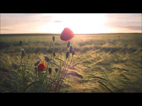 Tom Strobe - Rising Feelings