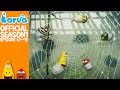 Official LARVA Season 1 Episode 61 75