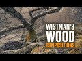 Woodland Landscape Photography - Composition Tips - Wistman's Wood Dartmoor / Devon