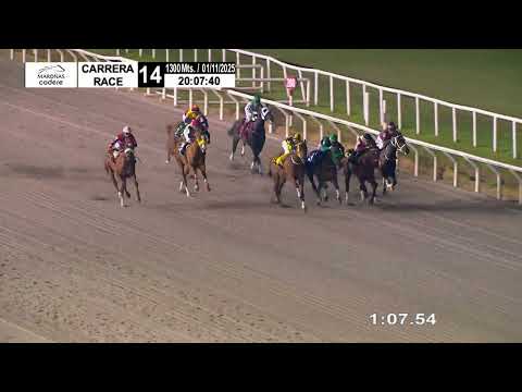 11/1/2025 – Hipodromo Maroñas – Carr 14 – CAPO BOSS (2024)
