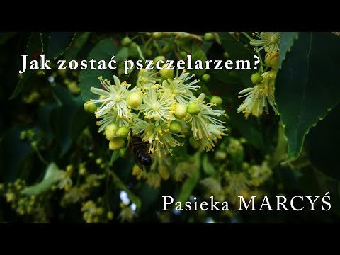 , title : 'Jak zostać pszczelarzem? Podstawy. 🐝'