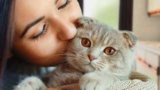 Cats and Owners are Best Friends Compilation NEW