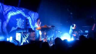 The Dead Weather, New Pony