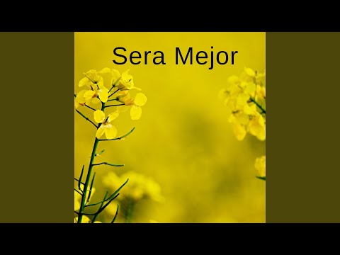 Sera Mejor