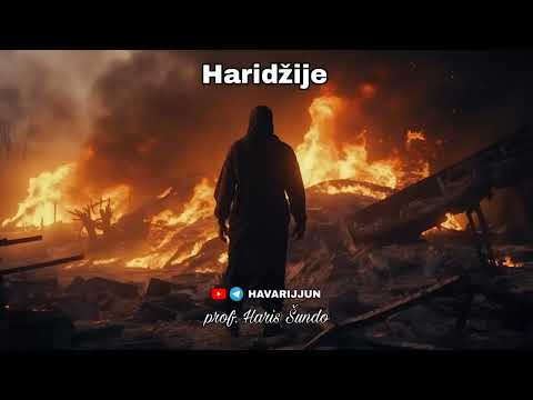 HARIDŽIJE - prof. Haris Šundo