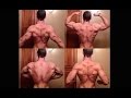 High Capacity Back Workout