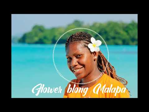 Flower blong Malampa ft Vanuatu stringband