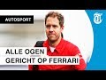 ‘Vettel zit te zeuren om kleine dingen’