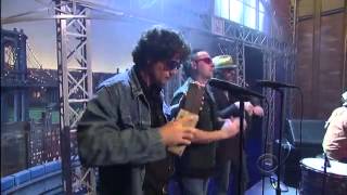Diamond Rugs - Blue Mountains LIVE ON THE LATE SHOW with DAVID LETTERMAN 6/25/12