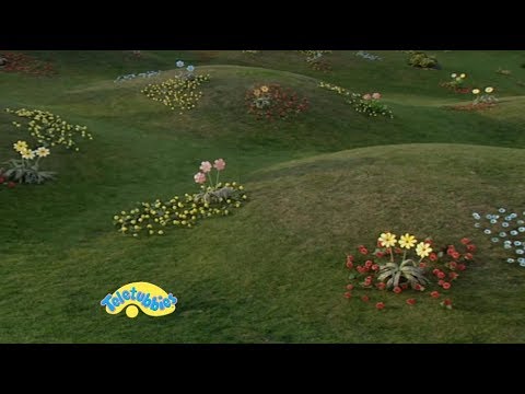 Teletubbyland Shot (Building a Barbeque) Style (5)