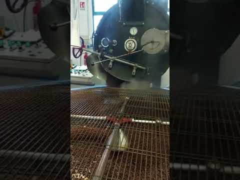 Vittoria kg 60 P221104013