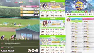 【ウマ娘】チャンピオンズミーティングMILE枠 【雑談】