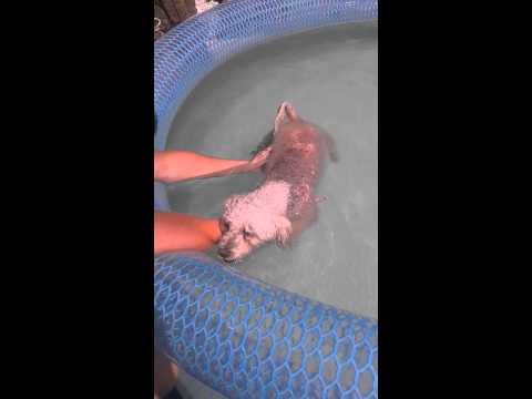 Badýsek se koupe!!!