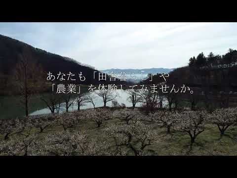 甲斐敷島梅の里クラインガルテンPR動画