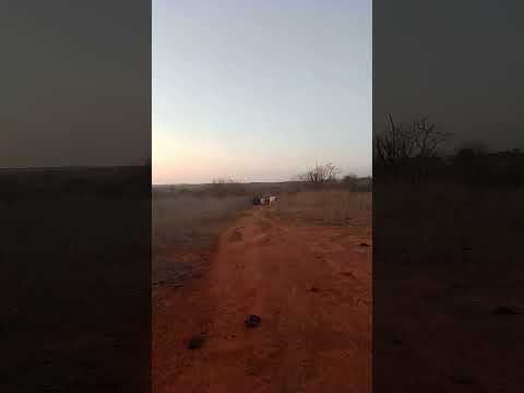 Mombaça Ceará #nordeste #musica #forródasantigas