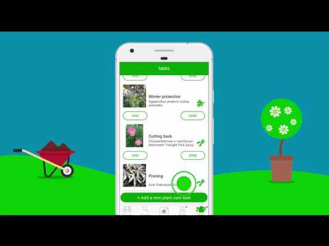 Garden Tags - Plants & gardens Video