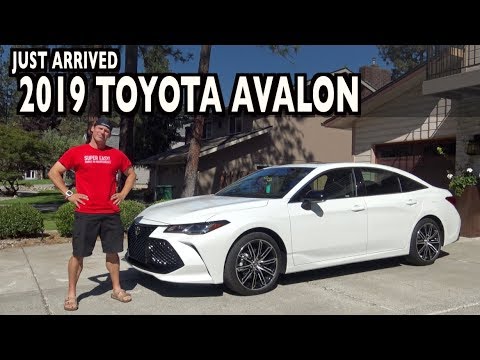 Wow, Just Arrived: 2019 Toyota Avalon in Spokane on Everyman Driver