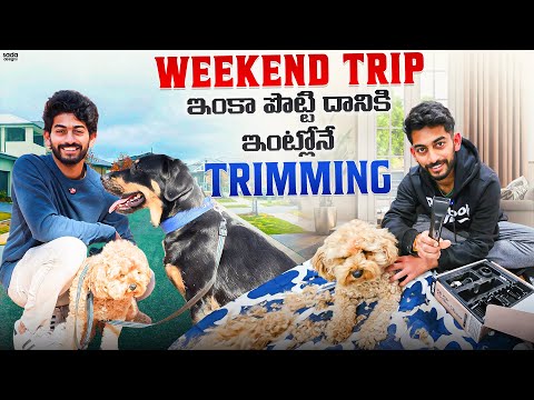 CC తో Pink cliffs కి long drive 🚗 | Dog కి ఇంట్లోనే Trimming | Telugu vlogs | Ikada Ela With Goutham