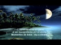 Bryndis - Vete Ya (con letra) by WarriorMiklo