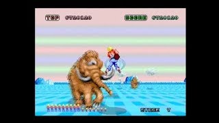SPACE HARRIER (ARCADE - FULL GAME)