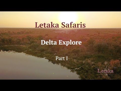 Letaka Safaris: Delta Explore - Part 1