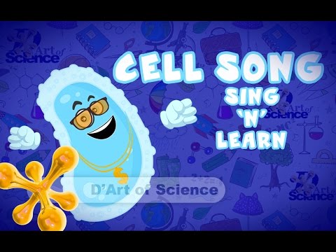 The Cell Song - Part of a cell song | Science Music Videos | dArtofScience