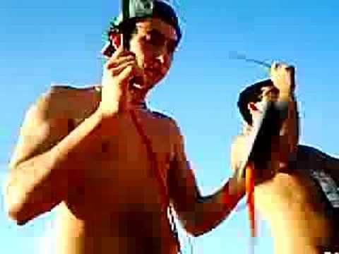 Bateria BICUDA - Medicina ESCS - Brasília/DF