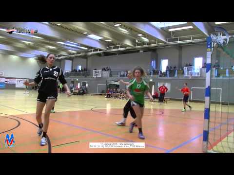 20:16 (11:11) SV GW Schwerin II vs. TSG Wismar - 17.1.2015